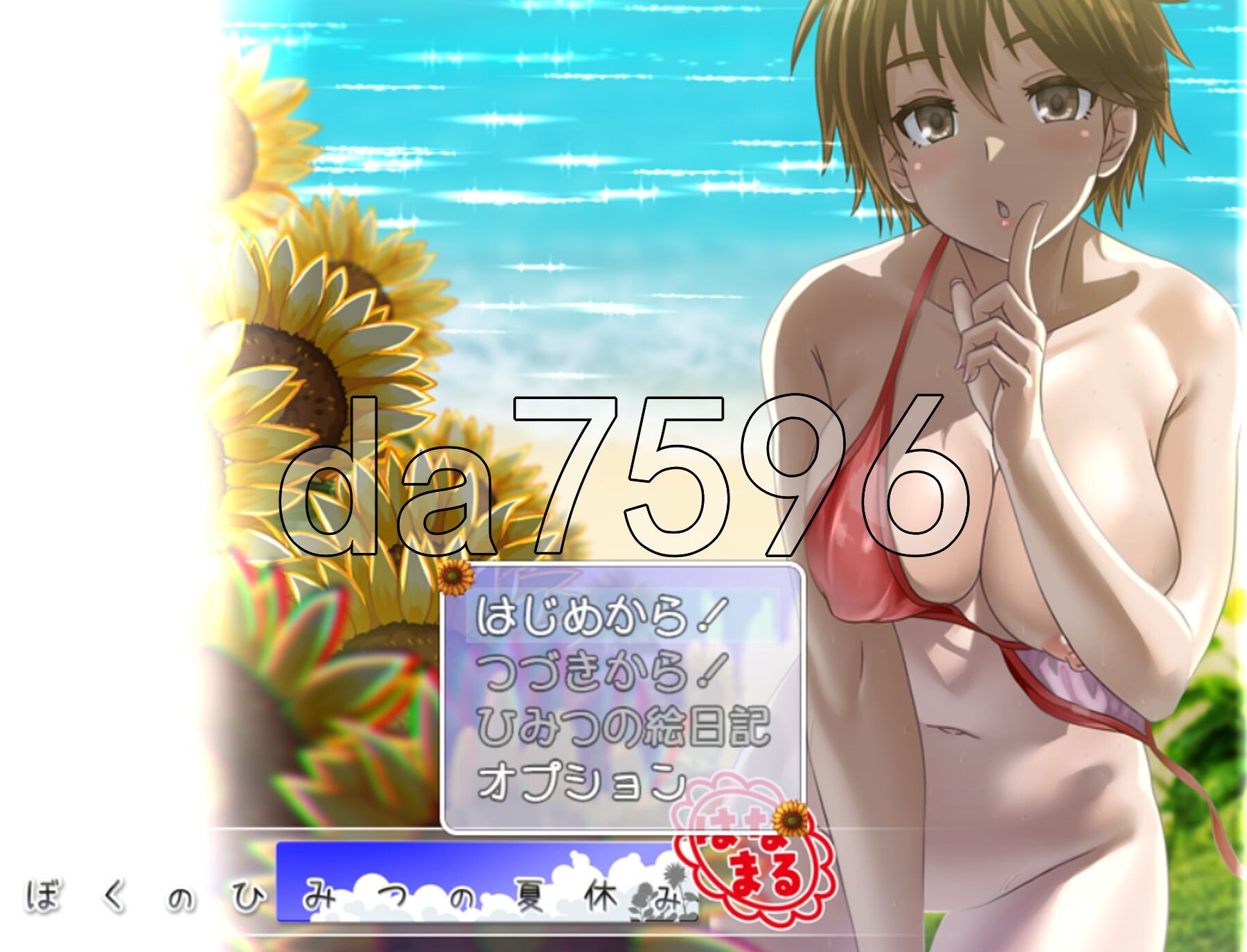 我秘密的暑假时光 ぼくのひみつの夏休み はなまる ver1.0.8 PC端 AI汉化版 预览图