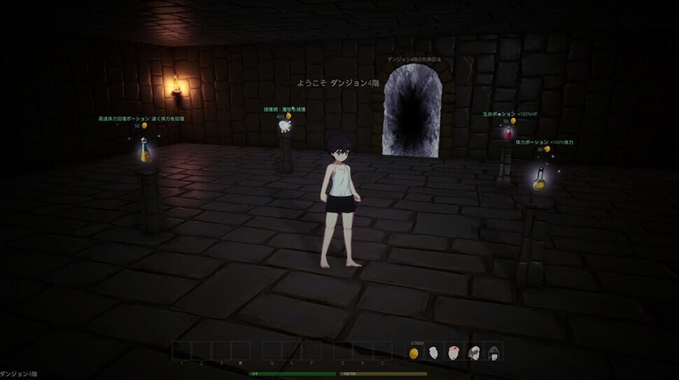 冒险者的初级地下城 PC端 官中版 预览图