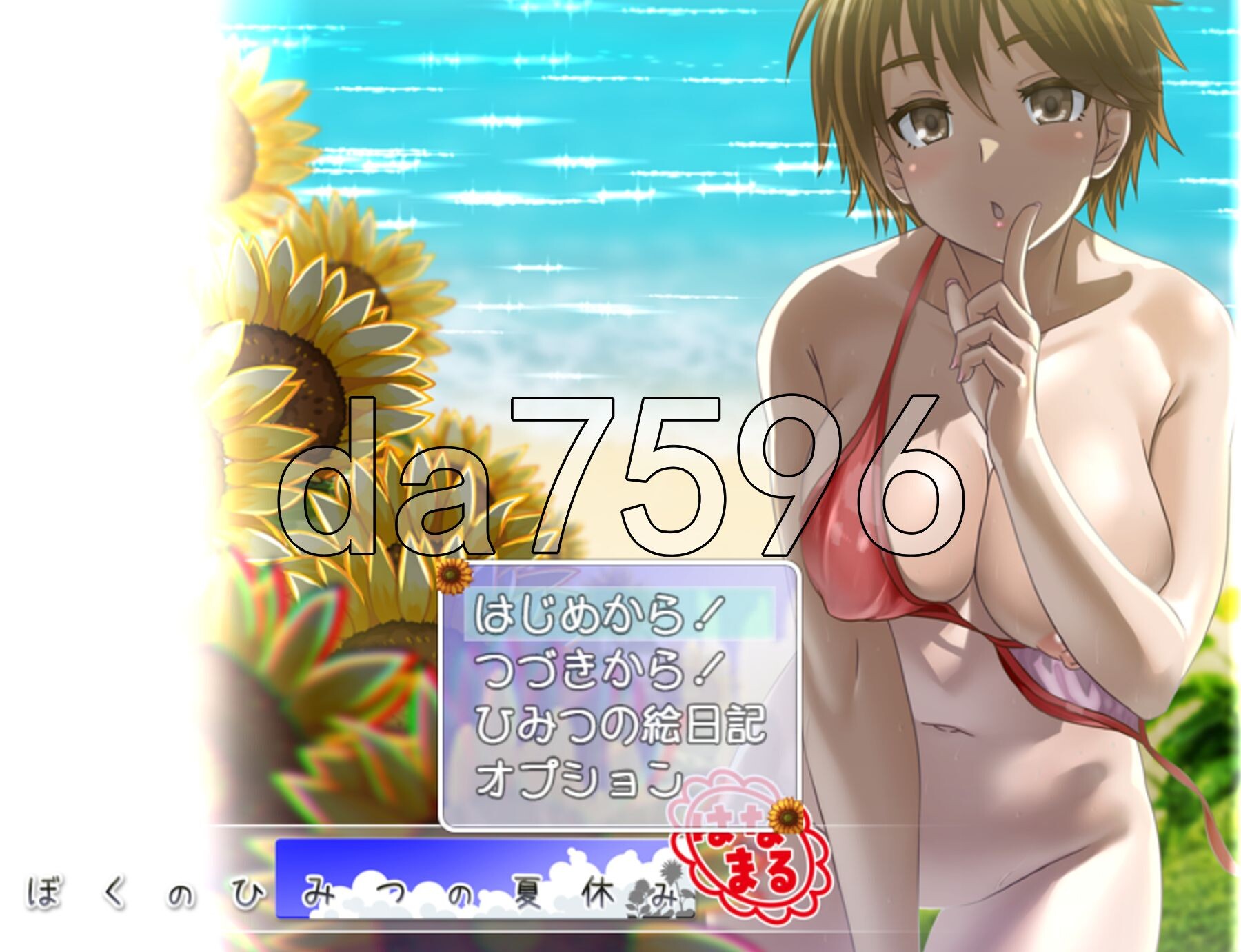 我秘密的暑假时光 ぼくのひみつの夏休み はなまる ver1.0.9 PC端 AI汉化完整版 预览图
