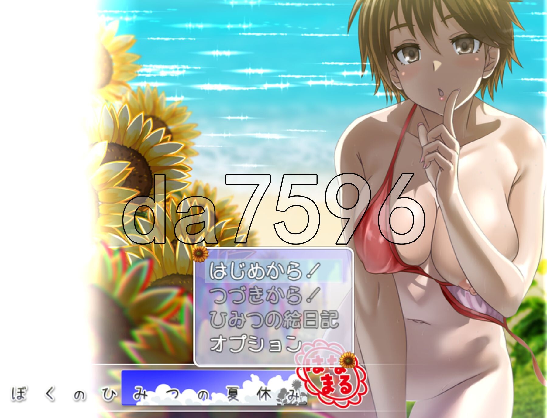 我秘密的暑假时光 重制版 ぼくのひみつの夏休み はなまる ver1.1.0 AI汉化版 去码补丁 PC端 AI汉化完整版 预览图
