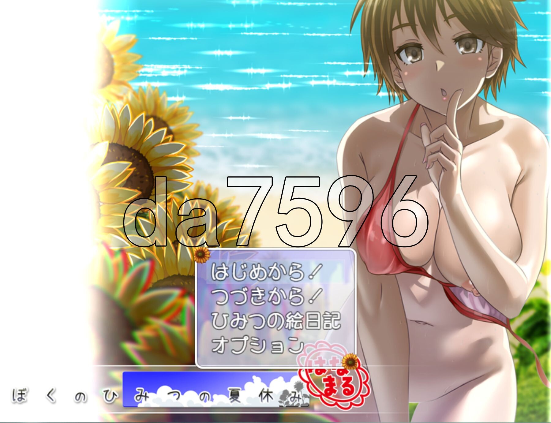 我秘密的暑假时光 重制版 ぼくのひみつの夏休み はなまる ver1.1.1 AI汉化版 去码补丁 PC端 AI汉化完整版 预览图