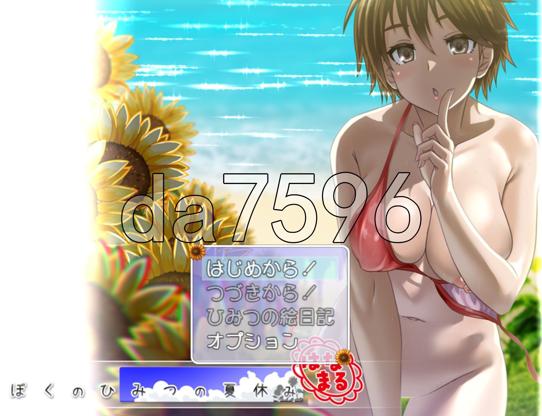我秘密的暑假时光 重制版 ぼくのひみつの夏休み はなまる ver1.1.2 AI汉化版 去码补丁 PC端 AI汉化完整版 预览图