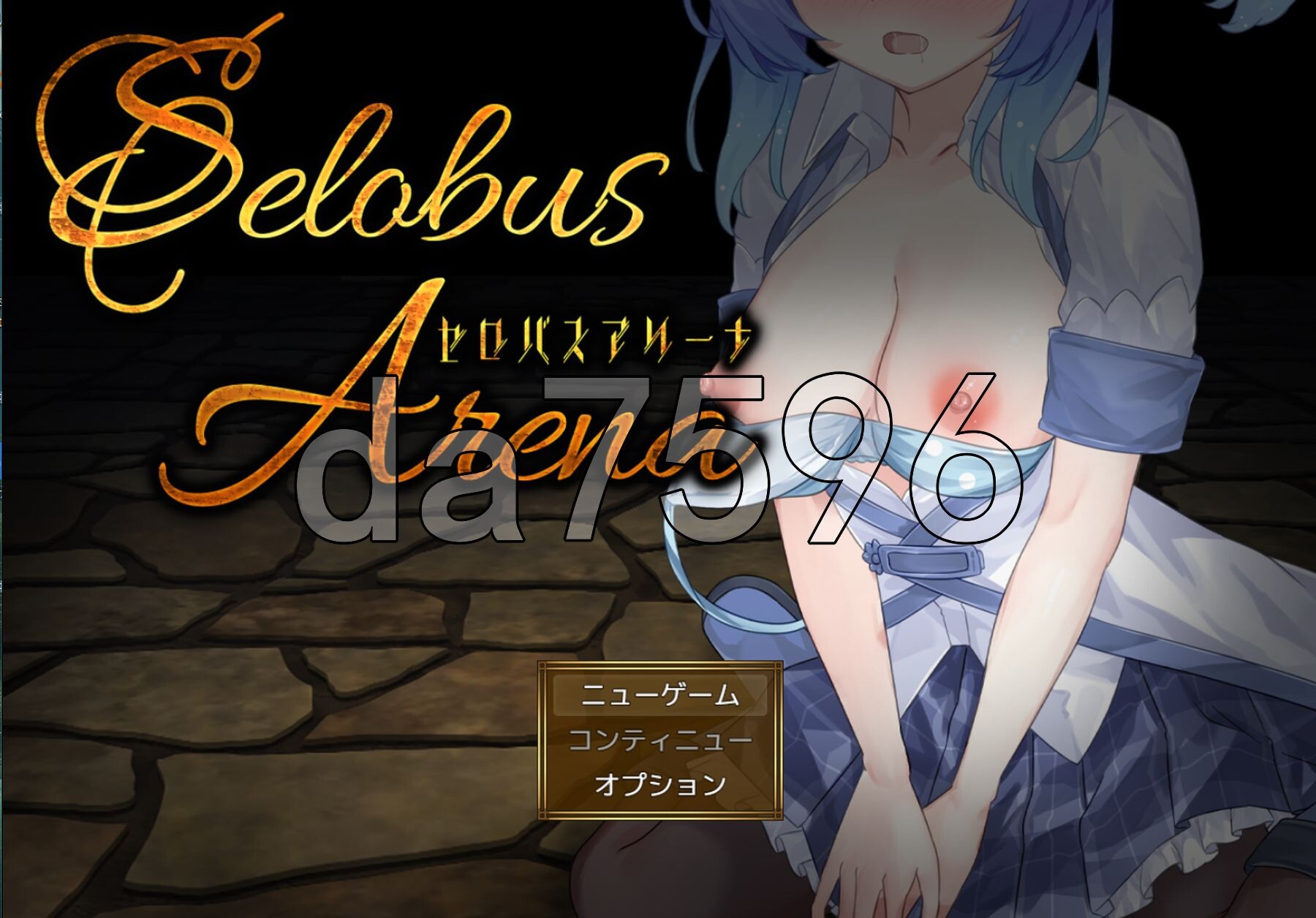 赛洛布斯竞技场 SelobusArena Ver1.04 PC端 AI汉化版 预览图