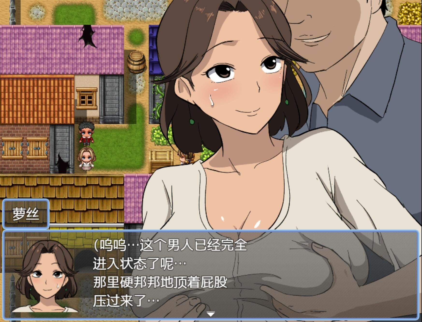 拯救公主任务 お姫様救出クエスト PC端 AI汉化版 预览图