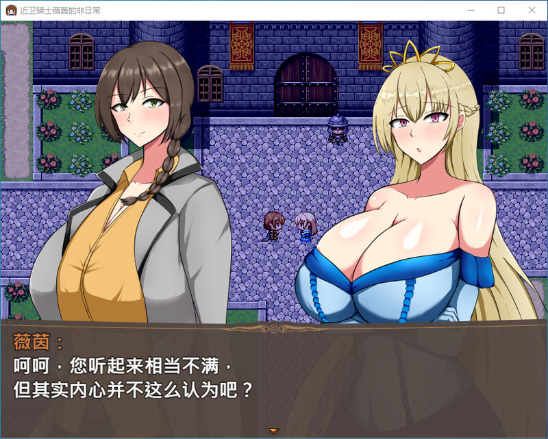 近卫骑士薇茵的(非)日常-Steam官中版 PC端 预览图