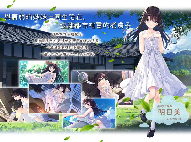 痴情哥哥与病弱妹妹的乡间生活- PC端 Steam官中无修版 预览图