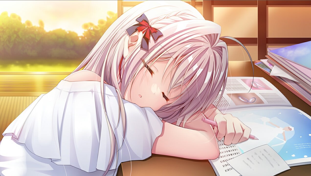 流星 FD ▫️ 流る星 ふぁんでぃすく ▫️ v1.1 ▫️ PC端 AI汉化版 预览图