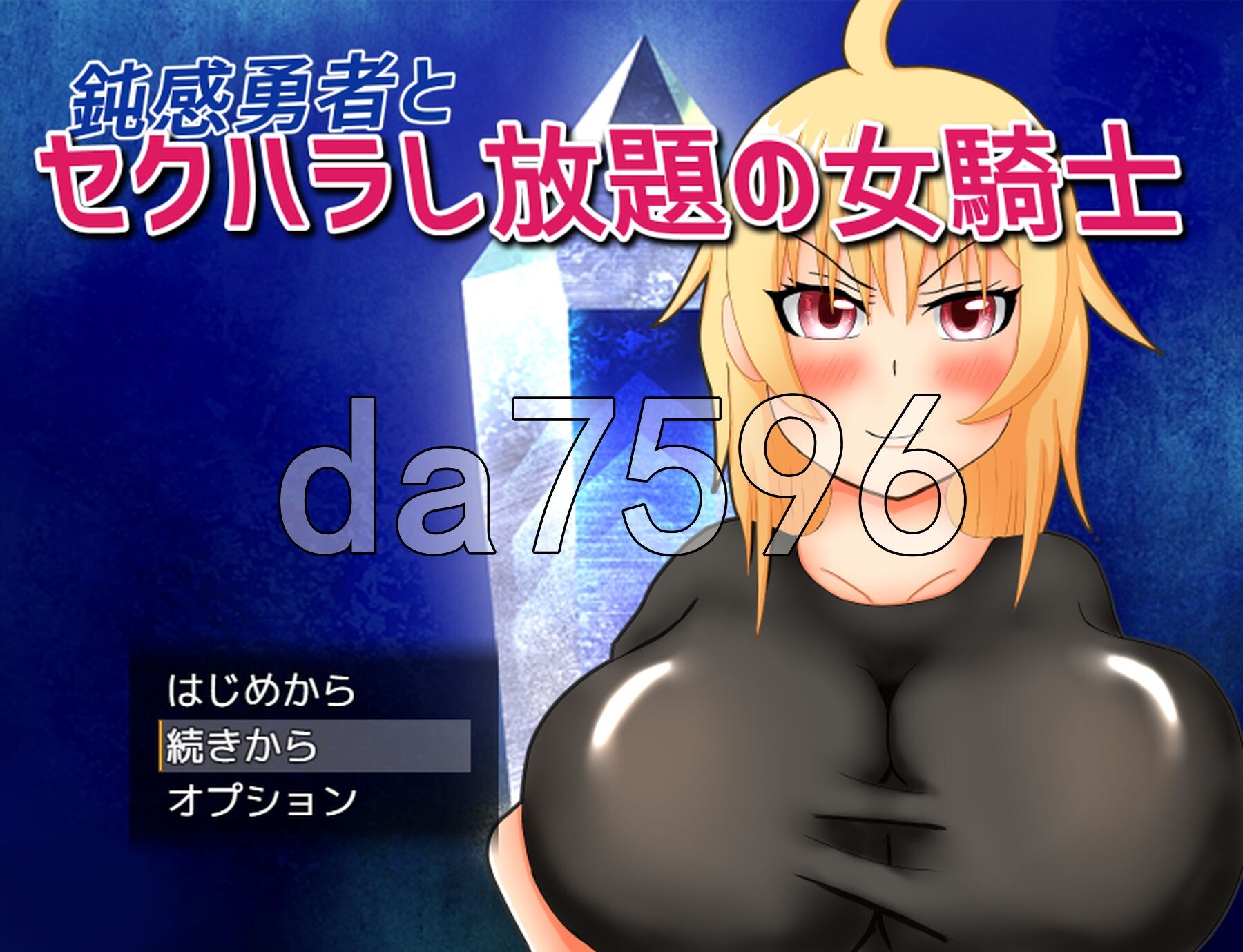 迟钝勇者与可随意异常互动的女骑士 鈍感勇者とセクハラし放題の女騎士 v200524 PC端 AI汉化完整版 预览图