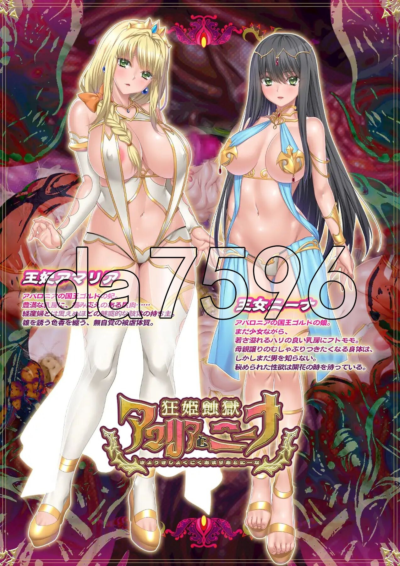 狂姬蚀狱 阿玛莉亚与妮娜 狂姫蝕獄 アマリアとニーナ 生肉版 PC端 完整版 预览图