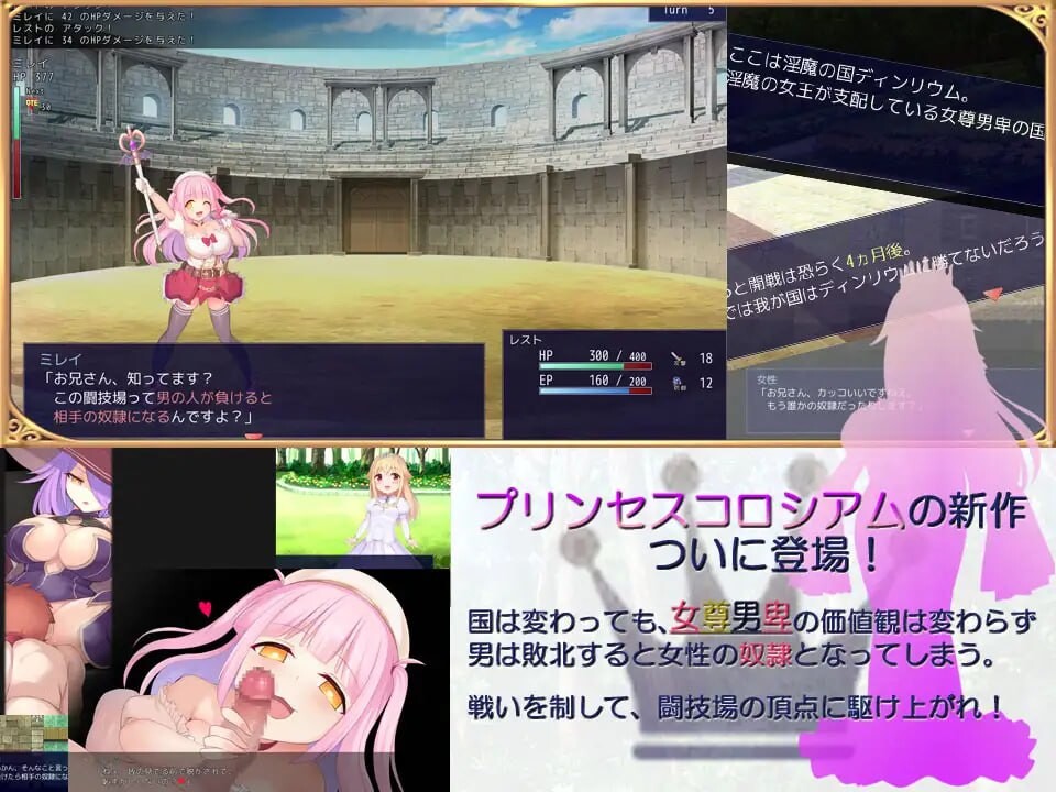 公主斗技场2 プリンセスコロシアム2.v2.0.5 PC端 汉化版 预览图