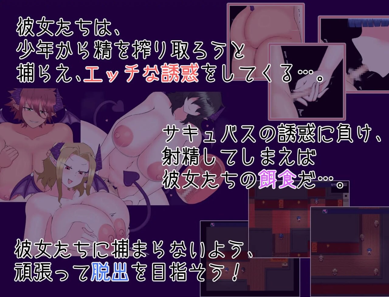 逃脱！次元空间屋 脱出！さきゅばすハウス PC端 汉化版 预览图