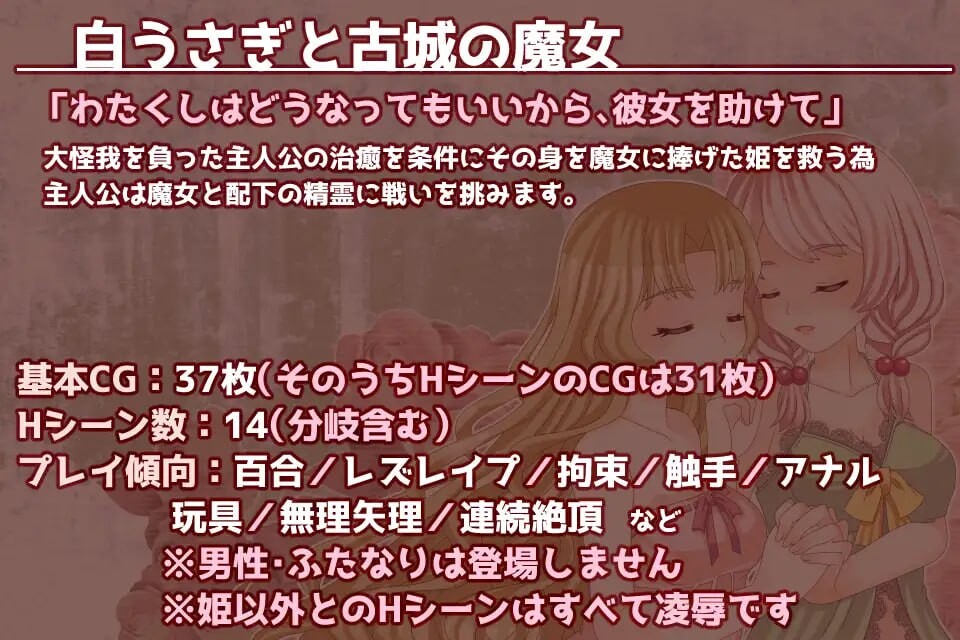 白兔与古城魔女 白うさぎと古城の魔女 PC端 汉化版 预览图