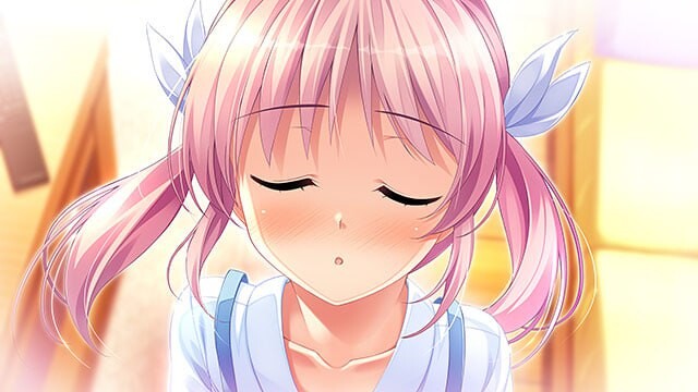 樱之杜†净梦者 ▫️ サクラノモリ†ドリーマーズ ▫️ steam版 ▫️ v9bbyv PC端 官中无码 预览图