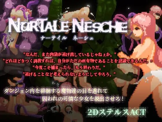ナーテイル ネーシェ v1.0P PC端 官中版 预览图