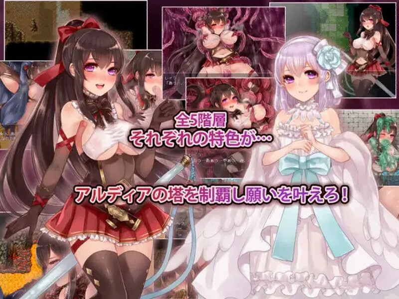 阿尔迪亚之塔（アルディアの塔） V1.03 STEAM官方中文版 PC端 官中版 预览图
