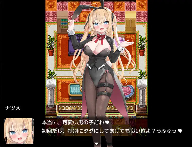 Bunny Crisis ～兔女郎危机 Bunny Crisis ～バニークライシス PC端 汉化版 预览图