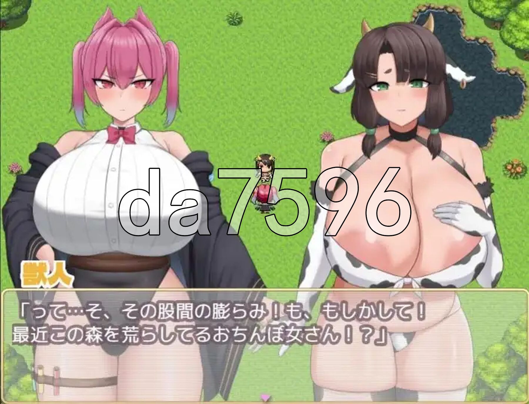 艾莎的扶她日记 Aisha’s Futa Diaries Demo PC+安卓 内嵌AI汉化步兵版 双端 AI汉化版步兵 预览图