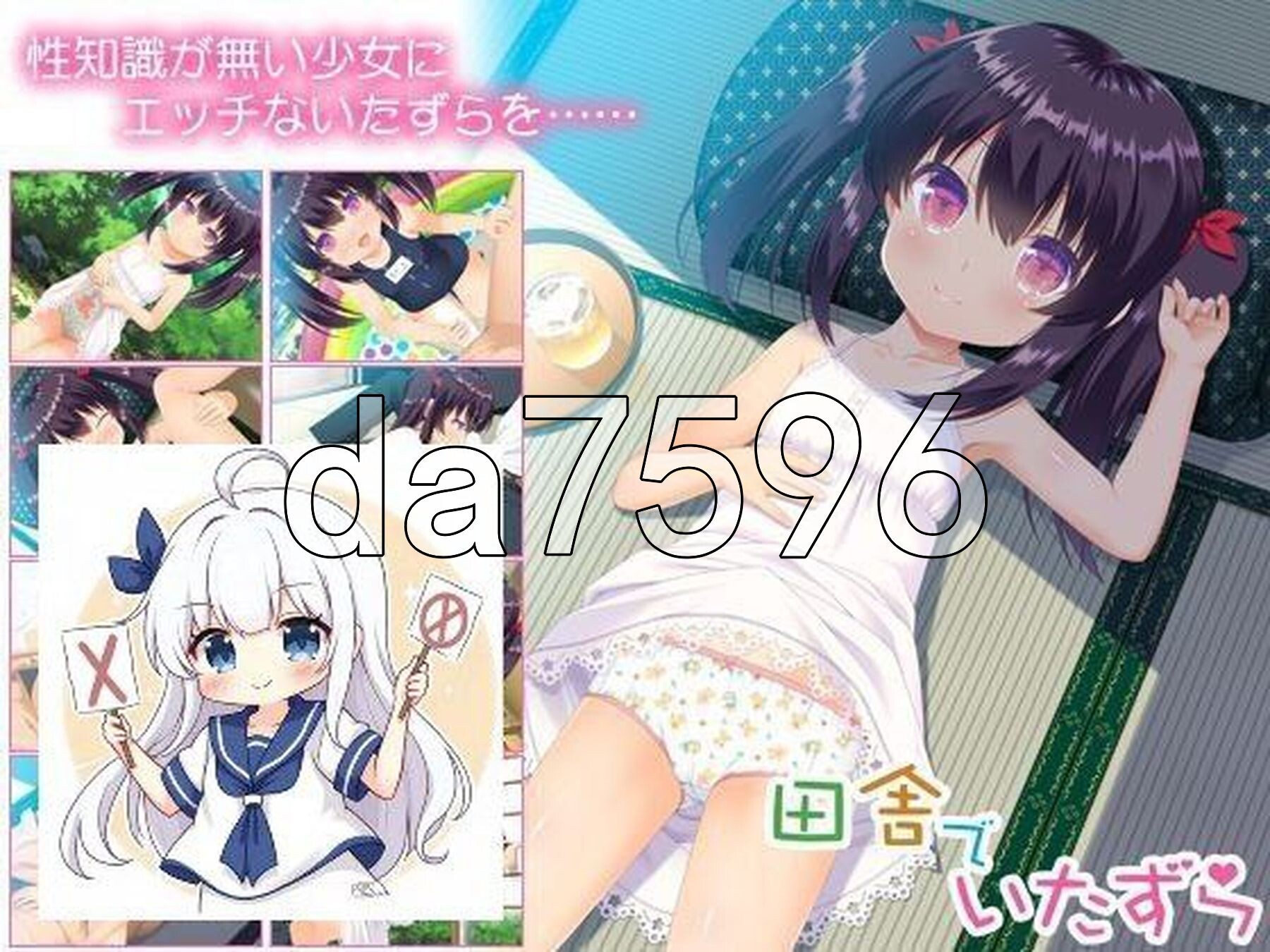 乡下的恶作剧 田舎でいたずら PC端 汉化完整版 预览图