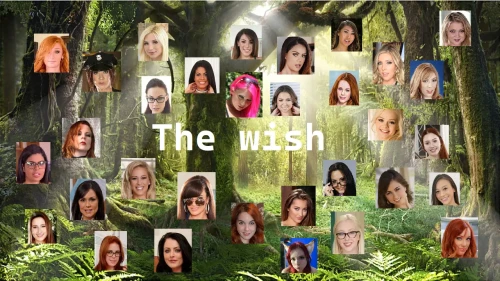 愿望 The Wish v0.41 PC端 AI汉化版 预览图