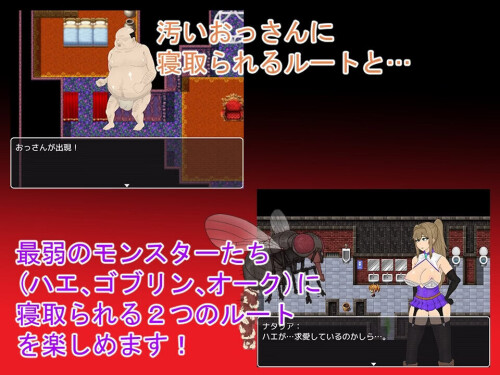 NTR 堕落之塔与跨种族情绪失控 NTRRPG～堕落の塔と異種たちの狂宴～ v1.0 PC端 AI汉化版 预览图