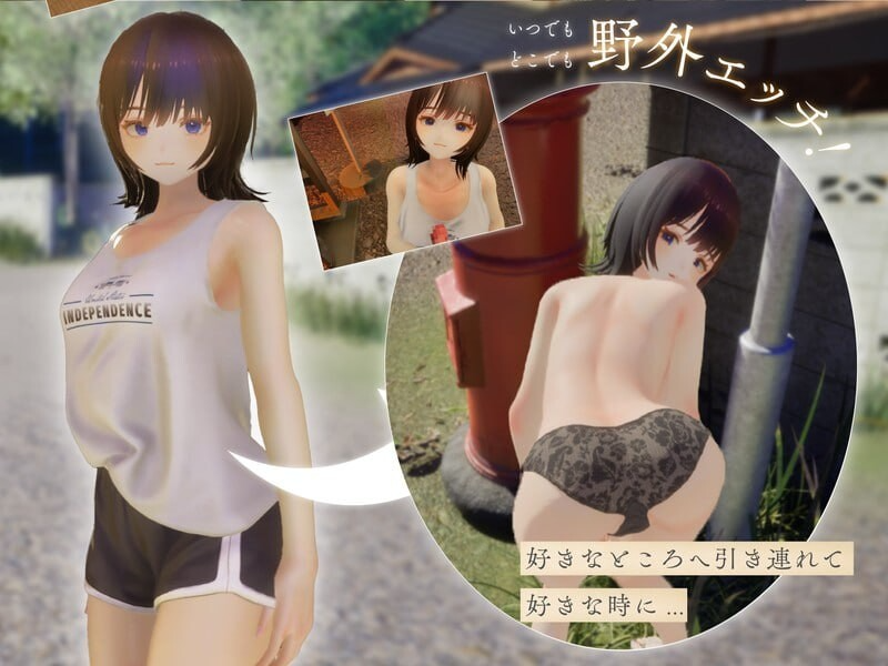 夏姐姐 ～我恋爱的30天～ なつねえ ～僕が恋した30日～ ver1.10 内嵌AI汉化版 去码版+自带全回想+服装存档 PC端 AI汉化完整版 预览图