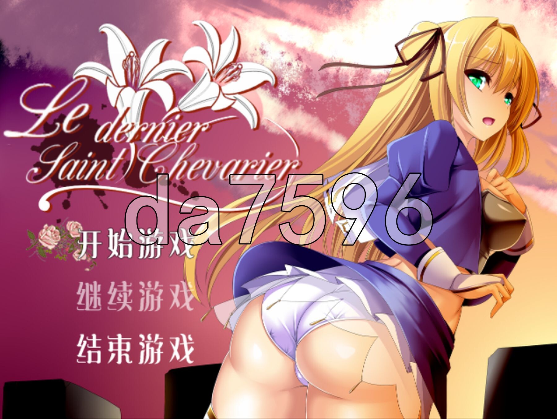 最后的圣骑士1.v1.2 PC端 官中完整版 预览图