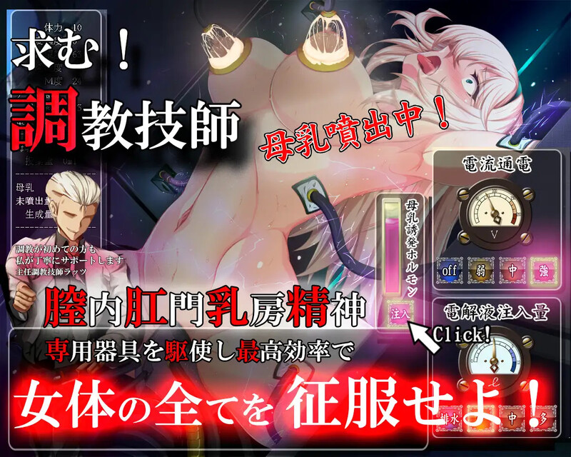 雌猪题材隶剑士塞西莉娅 ～坚毅的女剑士的淫荡养成～ 雌豚题材○剣士セシリア ～凛々しき女剣士は淫らな調教に堕ちる～ PC端 AI汉化完整版 预览图