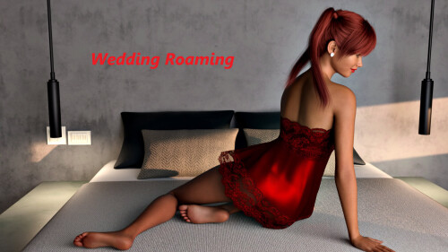 婚礼漫游 Wedding Roaming v1.0 双端 AI汉化版 预览图