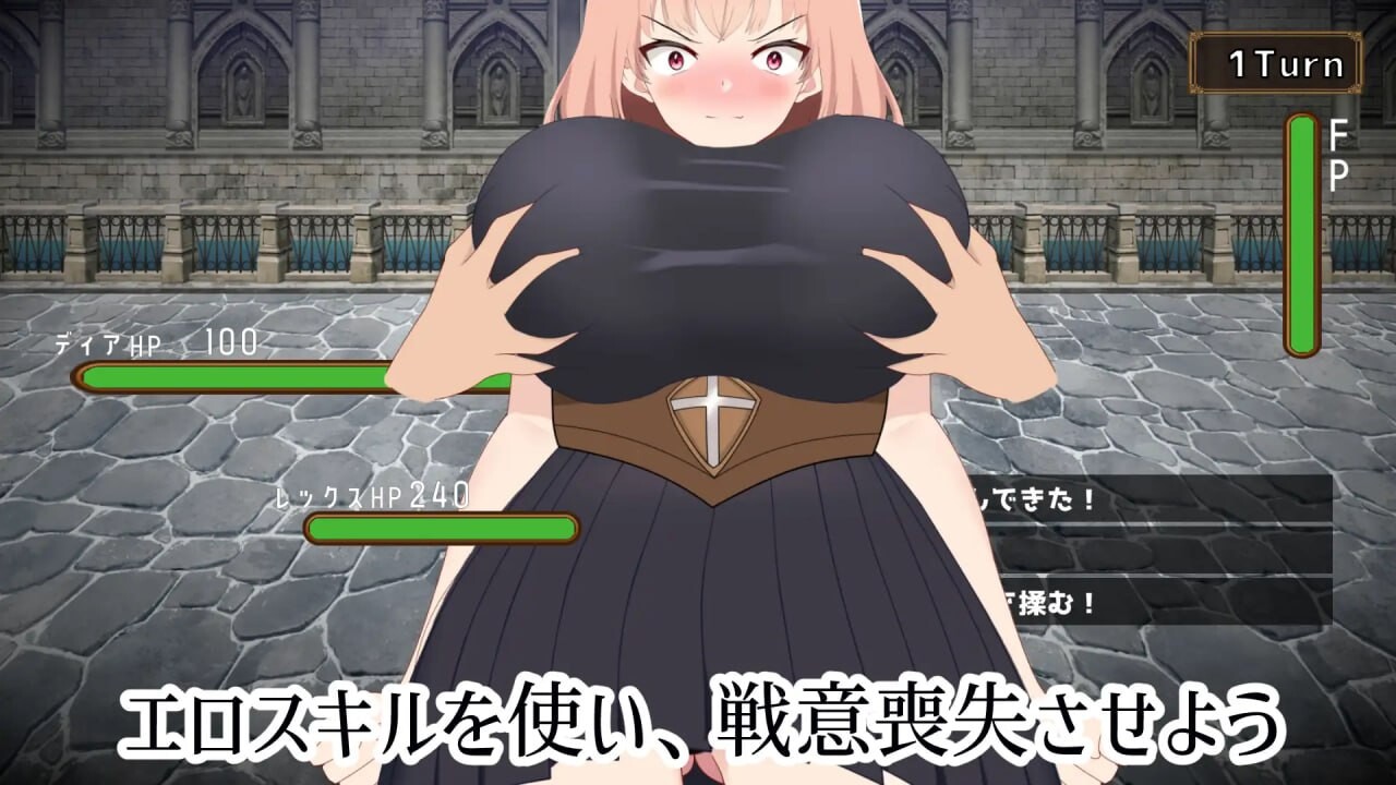 NTR最强女战士的计划 最強の女戦士を寝取る計画v1.0.0 PC端 日文原版 预览图