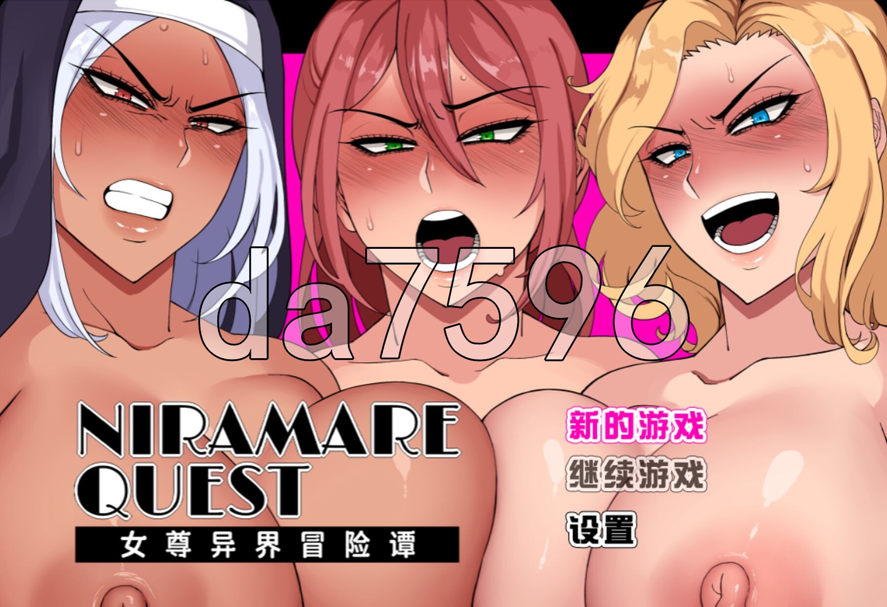 女尊异界冒险谭 ニラマレクエスト v1.01 Steam官中高清版 PC端 官中高清完整版 预览图
