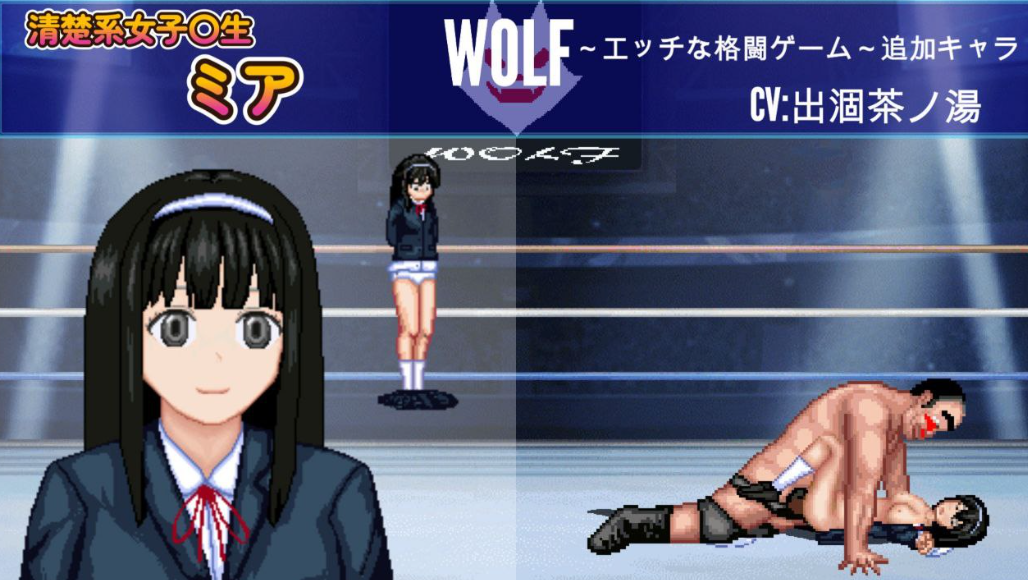 WOLF~色色的升级型格斗游戏~WOLF～エッチなアップデート型格闘ゲーム～v26.03.09 PC端 预览图