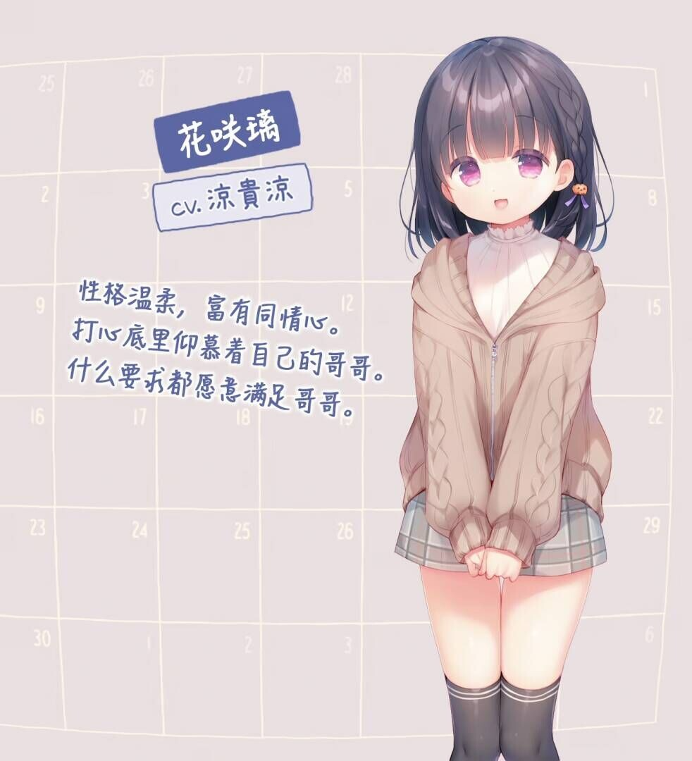 每日亲亲洛丽塔 毎日キスしてロリータ 双端 官中步兵 预览图