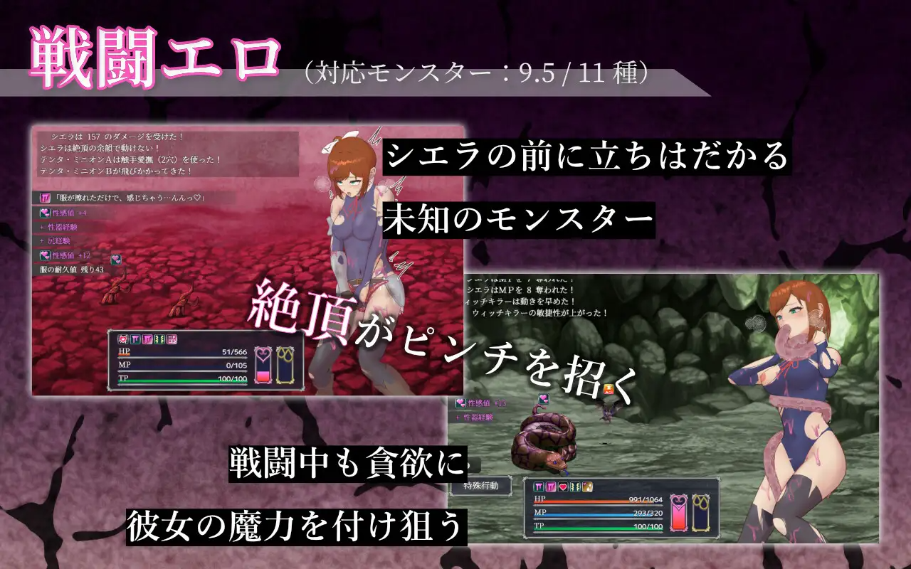 新作[探索RPG/异种X/奇幻] 希艾拉的淫靡异变调查 -女剑士独自沉沦- シエラの淫らな異変調査 -女剣士はソロでイク PC端 AI汉化完整版 预览图