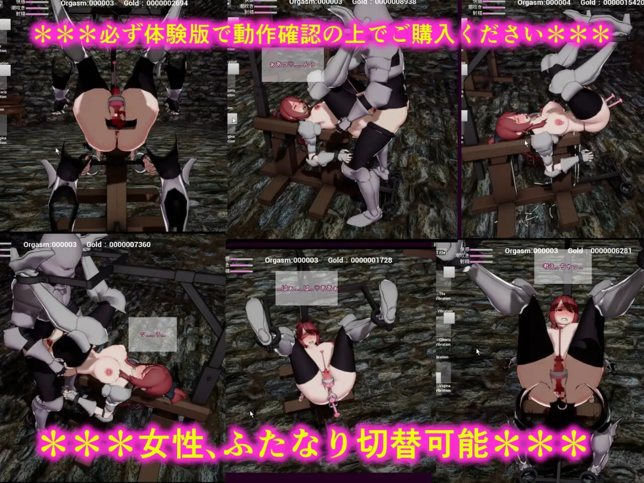 女骑士阿梅莉亚与暗之组织 ～实时3D拘束模拟 女騎士アメリアと闇の組織 ～リアルタイム3D拘束シミュ PC端 日文原版 预览图