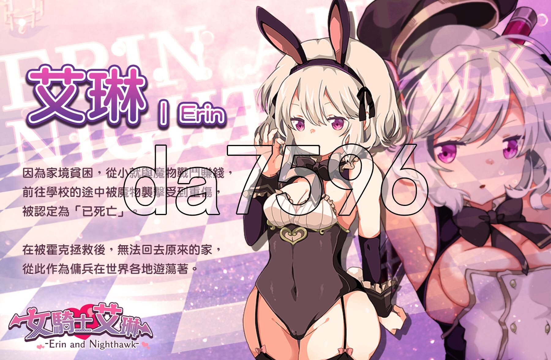 女骑士艾琳 v1.06 官中步兵版+ PC端 官中高清完整版 预览图