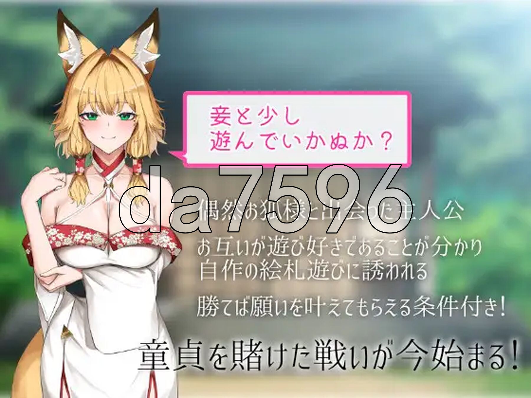 狐狐游戏 狐々遊戯 正式版 PC端 更新版 预览图