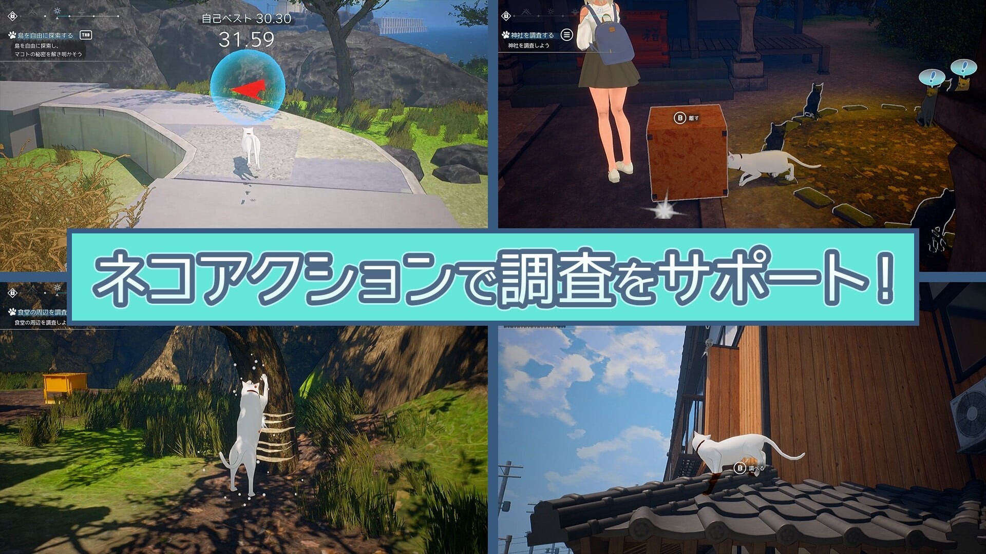猫岛雨香 ▫️ 猫島ペトリコール ▫️ v1.0.3788 ▫️ PC端 无码 预览图