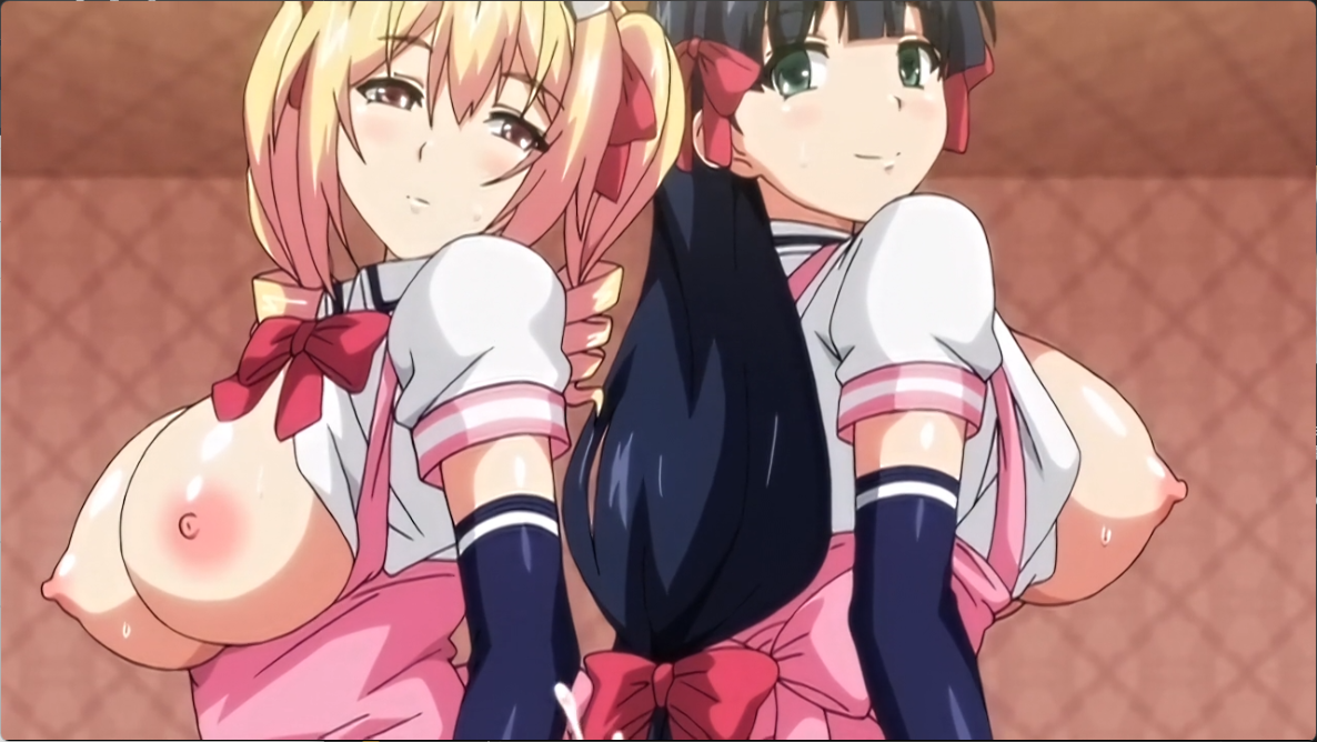 2D BOOTLEGマヨヒガのお姉さん THE ANIMATION 动漫视频 预览图