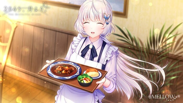 自月球而来。2045、月より。 v1.0.1 PC端 汉化版 预览图