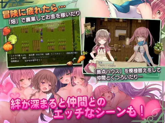 RPG汉化PC 希蒂与远古之森 セイディといにしえの森 v1.3 PC端 汉化版 预览图