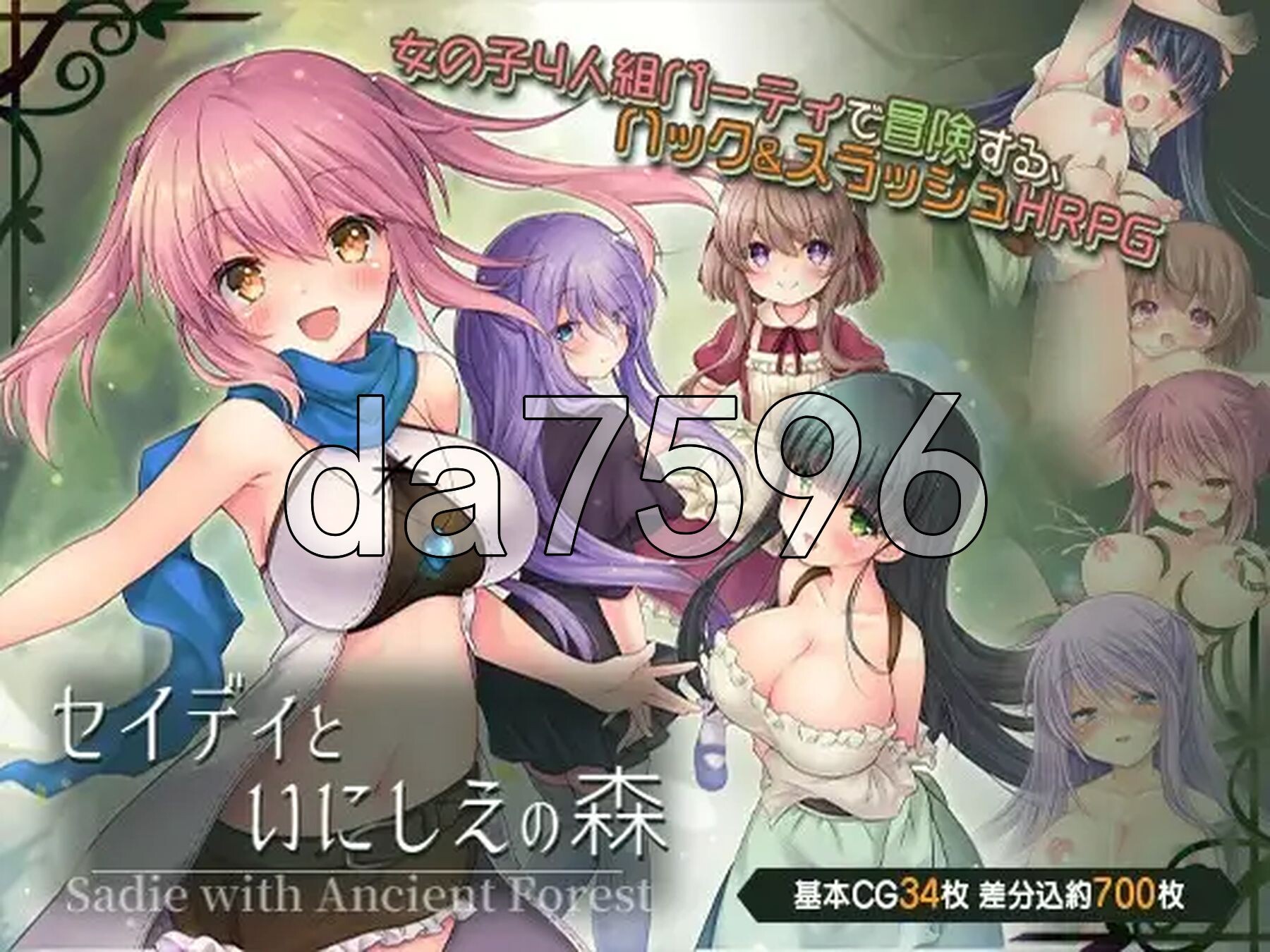 希蒂与远古之森 セイディといにしえの森 v1.3 PC端 汉化完整版 预览图