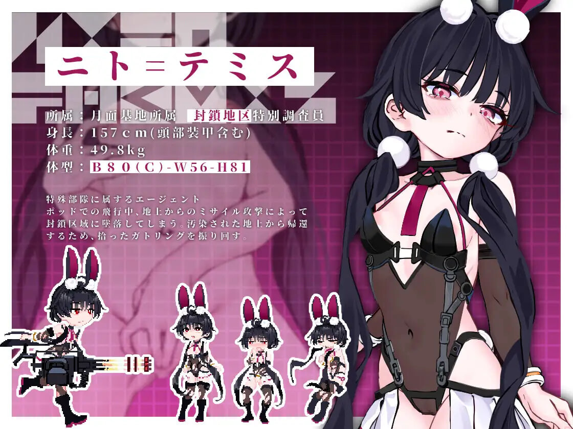 ACT汉化PC动态 尼特 -秽染隔离区的坠兔- ニト -穢染隔離区の墜兎- v1.2 PC端 AI汉化版 预览图