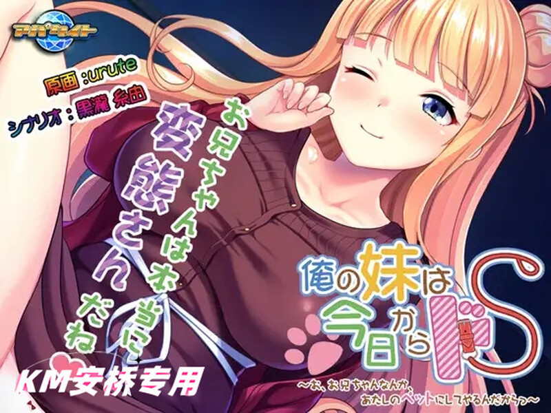 （俺の妹は今日からドS ～お、お兄ちゃんなんか、あたしのペットに）v1.0 PC端 完整版 预览图