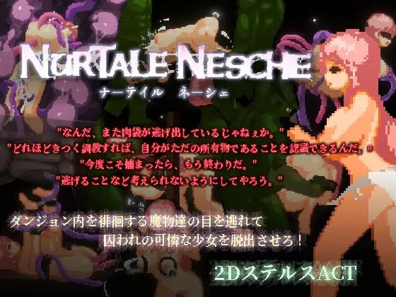 动作ACT/像素全动态/2C 纳塔莱·内什（ナーテイル・ネーシェ）Ver1.0.2.12 DL官方中文 PC端 官中版 预览图