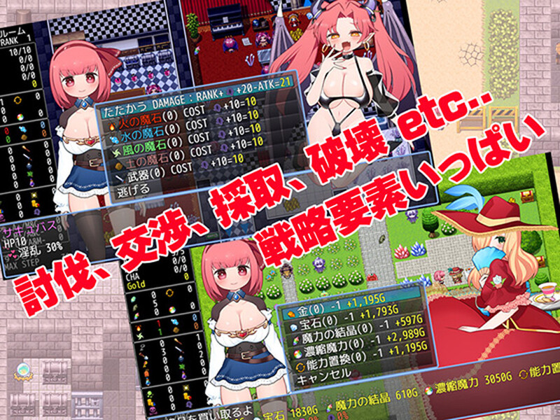 探索RPG/压迫桥段虫X/2C MOMO的永恒冒险谭 V1.10 DL官方中文 PC端 官中版 预览图