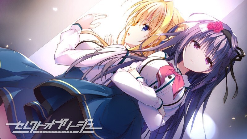 大型ADV/校园制服/2C セレクトオブリージュ V1.0 PC端 AI汉化版 预览图