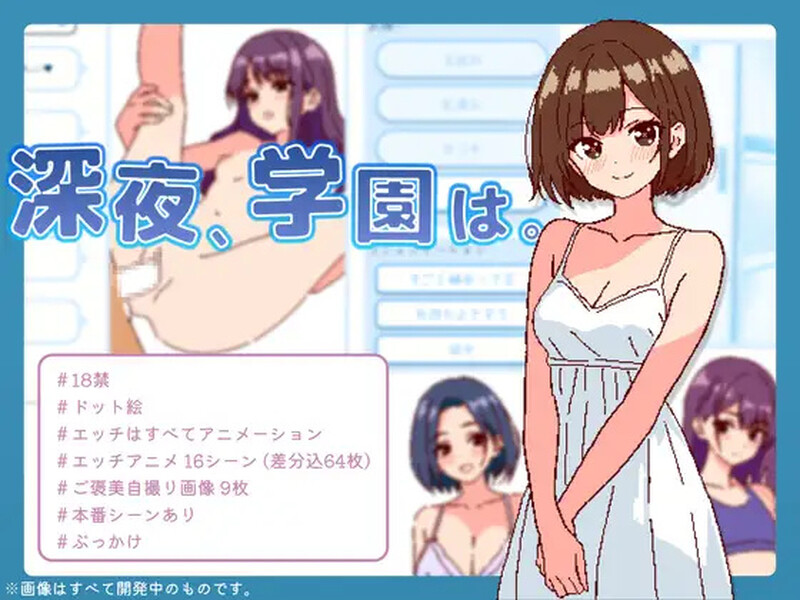 互动SLG/校园JK/风俗/像素动态 深夜，学校。（深夜、学園は。）V1.0 DL原版生肉 PC端 日文原版 预览图