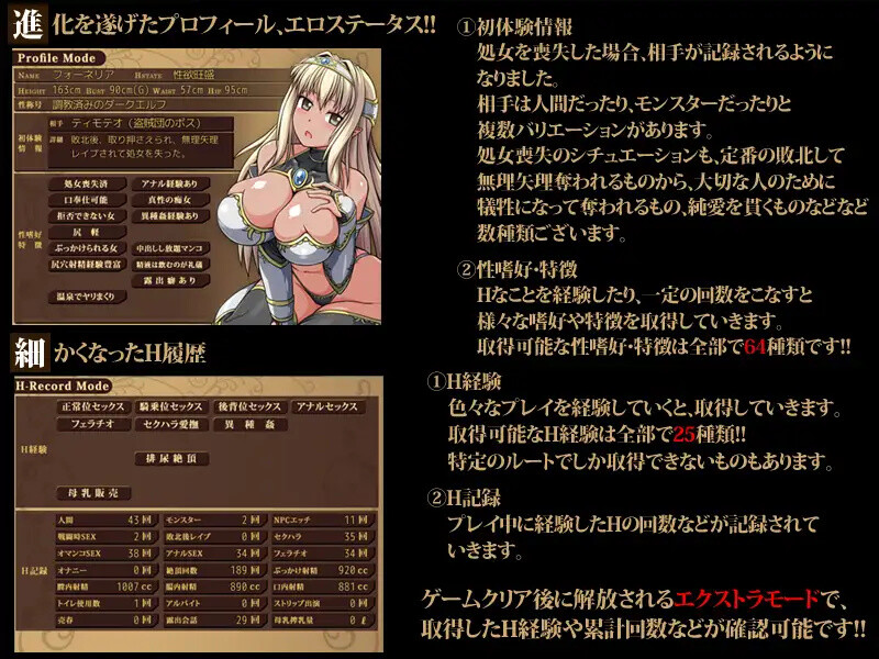 黑暗精灵史记（ダークエルフのヒストリア）V1.02 STEAM官中 PC端 官中版 预览图