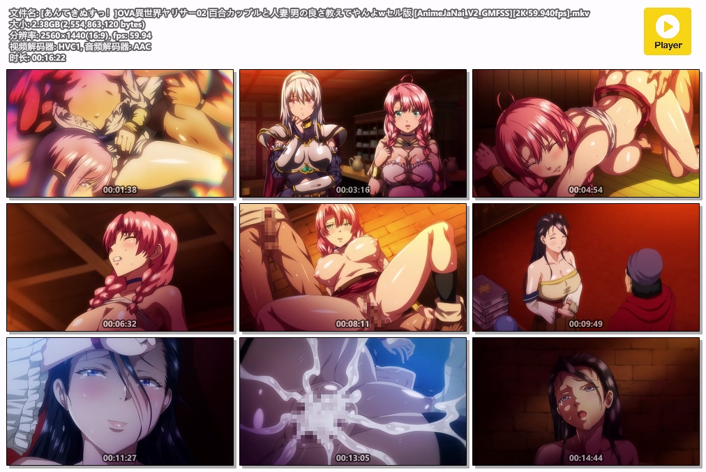 2D动画/里番/魔穗字幕/推荐異世界ヤリサー 合集1-2 2K/60FPS/修补 CUGAN超分/V2/VSR 动漫视频 预览图