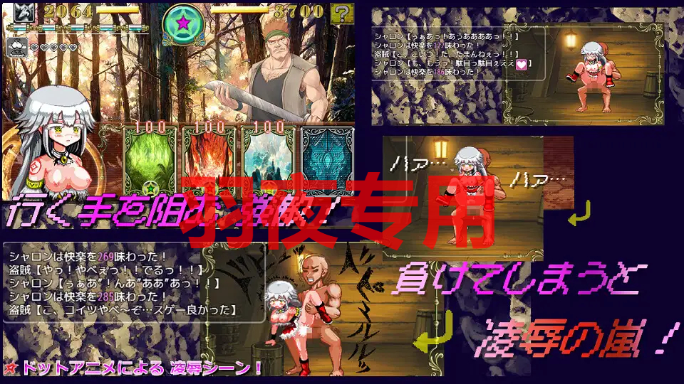 白龍の巫女と漆黒の騎士 Ver1.01 PC端 预览图